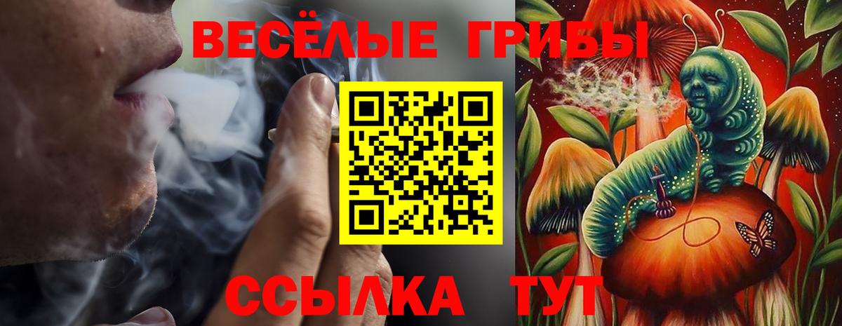 Галлюциногенные грибы мухоморы  Вход с VPN  Обь 